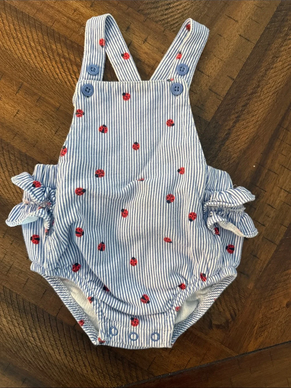 Carter's Blue & White Striped overalls with Red Ladybug Print